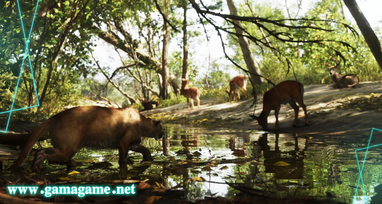 پارک ملی Mount Kalaga