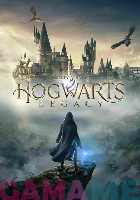 hogwarts lagacy standard 0