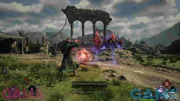 hogwarts lagacy standard 6