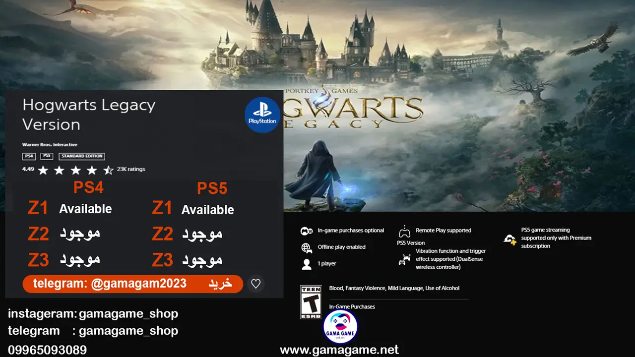 hogwarts lagacy standard