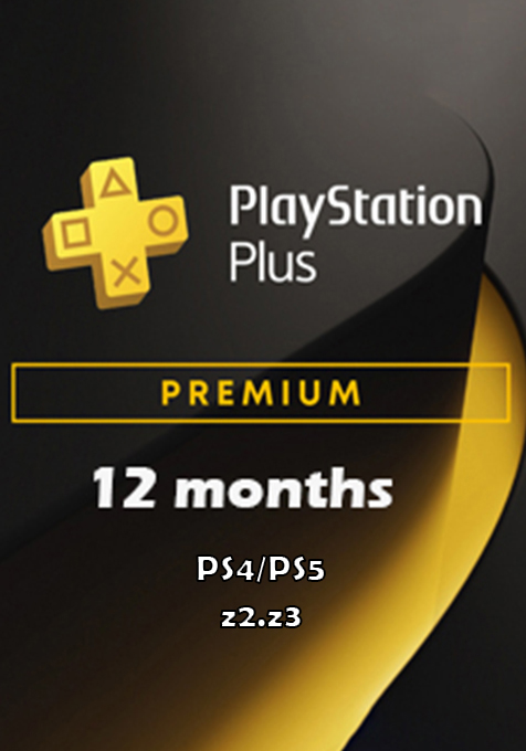 اکانت پلاس پرمیوم 12 ماهه ظرفیت 2و3