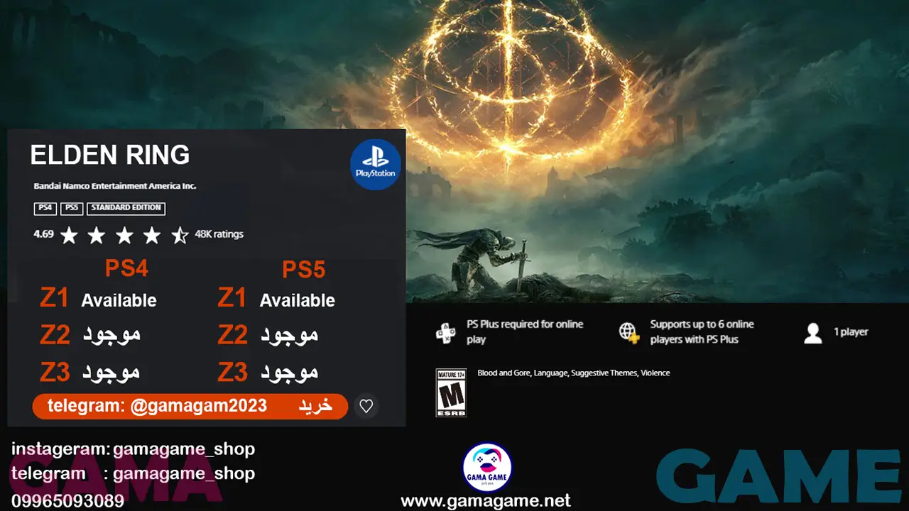 ELDEN RING standard PS4.5