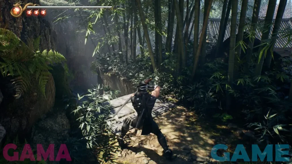 اکانت بازی NINJA GAIDEN 2 BLACK