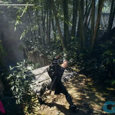 اکانت بازی NINJA GAIDEN 2 BLACK