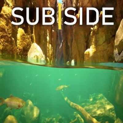 Subside VR2 0