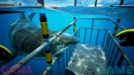 Subside VR2 3