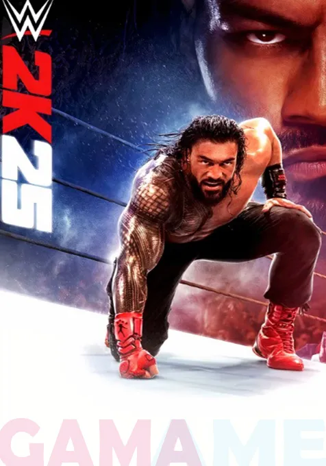 wwe 2k25 standard 0