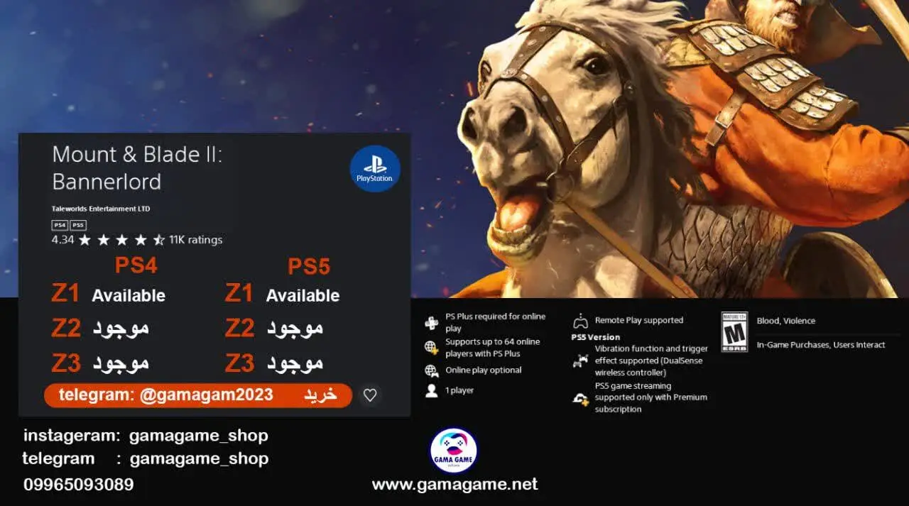 اکانت قانونی Mount & Blade II: Bannerlord